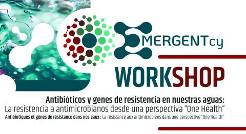 Workshop Workshop